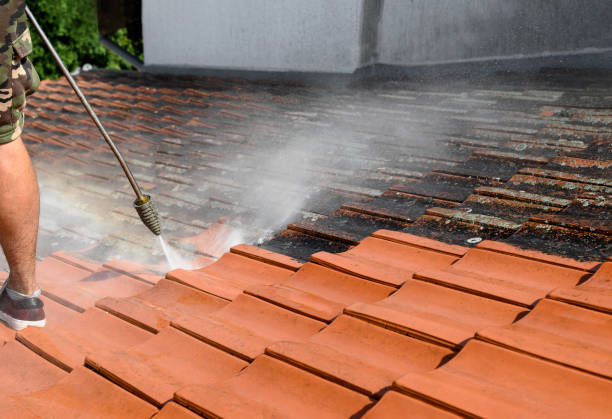 Best Garage Pressure Washing  in West Livingston, TX