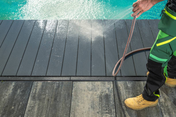 Best Roof Pressure Washing  in West Livingston, TX