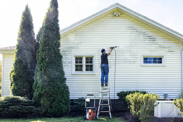 Why Choose Our Certified Pressure Washing Experts for Your Project Needs in West Livingston, TX?