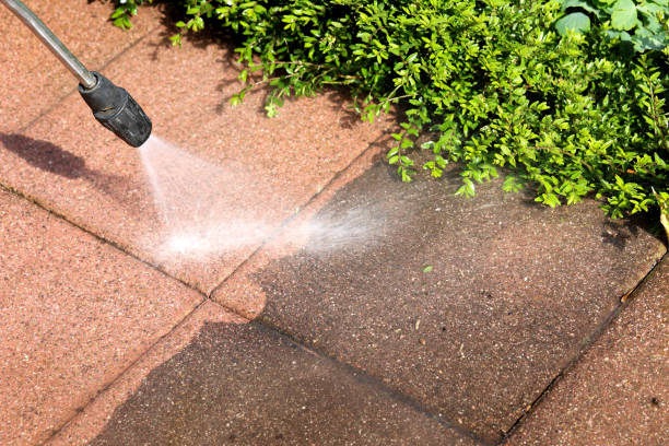 Best House Pressure Washing  in West Livingston, TX
